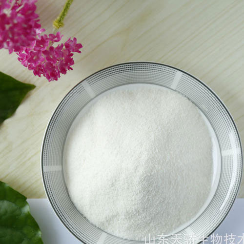 广东烘焙食品专用粉代理商